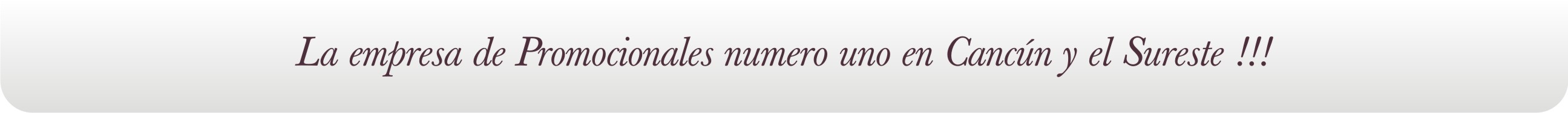 ARTICULOS PROMOCIONALES EN CANCUN